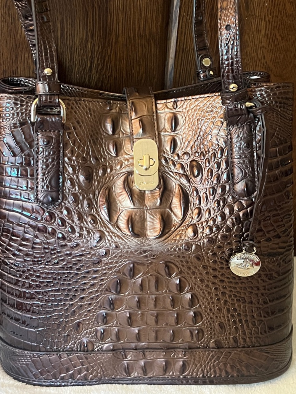 BRAHMIN FIORA Ganache Ombré Melbourne Bucket Bag NWT